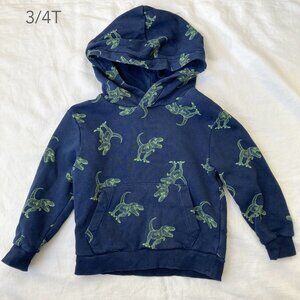 🪴5/$30 H&M 3-4T Toddler Boys Girls Dinosaur Blue Green Pull Over Hoodie